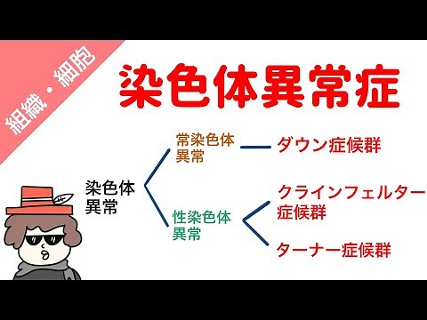 【国試対策】染色体異常（ダウン症候群、クラインフェルター症候群、ターナー症候群）