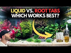 The Best Fertilizer for Planted Tanks – Liquid vs Root Tabs!