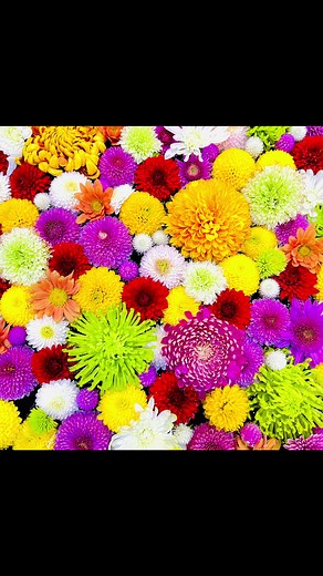 花手水の撮り方と撮影テクニック
