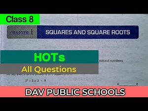 DAV class 8 maths chapter 1 Hots - all questions