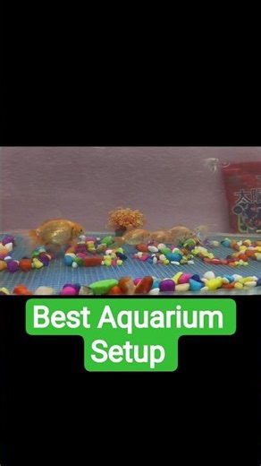 DIY Aquarium Setup ! Fish Tank Decoration Idea #shorts #aquarium #diy #howto #skills #tricks #tips