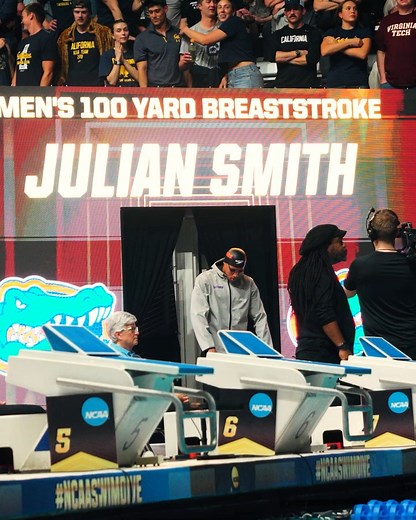 Florida Gators Swimming & Diving on Reels