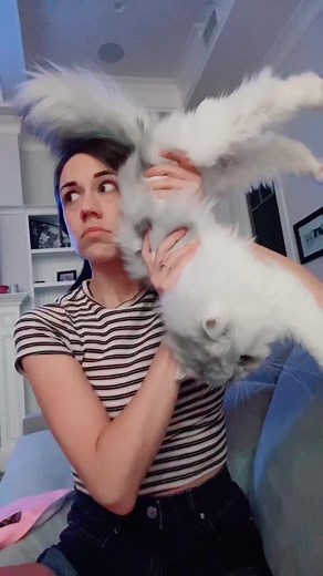 Who Started the Trend of Hilarious Videos?