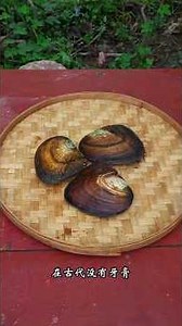 Ancient Pearl Bamboo Salt Toothpaste: A Forgotten Heritage Better Than Modern Toothpaste?