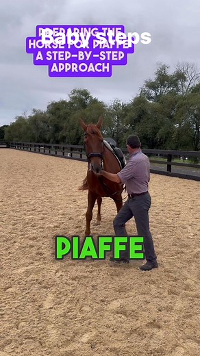 Building the Basics of Piaffe: Small Steps, Big Progress!** 🐴 Piaffe is all about precision, balance, and trust. In this reel, I’m working on introducing a horse to piaffe by focusing on **small, deliberate steps** that build confidence and rhythm over time. 💡 **Training Tips:** ✨ Keep the energy relaxed but engaged. ✨ Celebrate every small step—progress is a journey! ✨ Focus on rhythm and balance, letting the horse find its flow. Remember, piaffe isn’t built in a day—it’s about trust, patienc