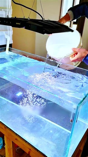 sysenciaga on TikTok