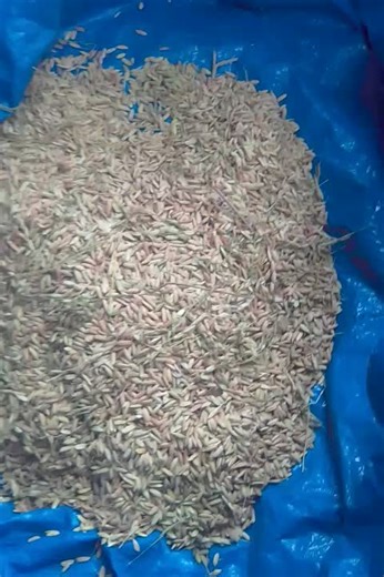 Andrew Christopher (@andrew.christophe74)’s videos with original sound - Andrew Christopher