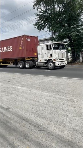 T.S trailer truck #trucking #truckdriver #container