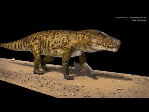 Saurosuchus animation test