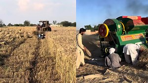 Efficient Wheat Harvesting And Threshing Using Machines