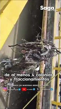 60 TONS OF GARBAGE!: Río Hondo BURNS and BURIES neighborhoods of Naucalpan
