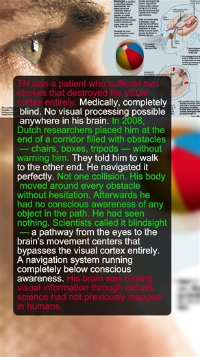 A Blind Man Could Navigate a Maze Perfectly. His Visual Cortex Was Completely Destroyed.