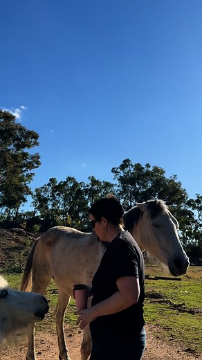 I haven’t worked with Illy for a couple of weeks and this is way more touch than I would usually get from her  | Crescent Moon Lodge Animal Refuge | Facebook