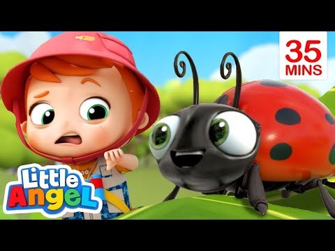 "The Insect Family Song: Sing & Dance Along with Fun Nursery Rhymes for Kids!"