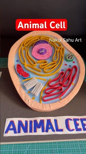 Animal Cell Model Using Cardboard & Glitter Sheets | Science Project #shortsfeed Nakul Sahu Art