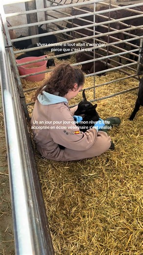 Déjà 10% véto, merci l’Espagne 💕 #vetstudent #ceu #spain #valencia