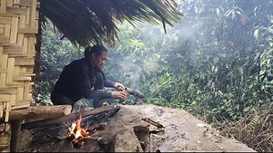 DAY 10 IN THE RAIN FOREST Hunting COOKING AND PLANTING 🥰 survival, camping, bushcraft, solo camping, survival shelter, wild survival,shelter bamboo, survival skills, primitive survival, outdoor, rainforest, no food, no water, catch and cook, fishing, relaxing, natural sound, survival alone, survival challenge, bushcraft winter ,camping cave fireplace, solo bushcraft, bushwalking, living, forest, cave, canyons, bushcraft survival | Jaguar Survival