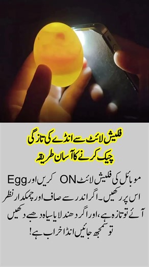 4 Life-Changing Quotes That Will Inspire & Motivate You! Quotes#Motivation#LifeLessons