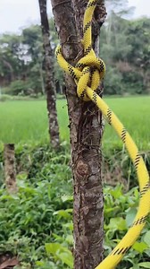 The bowline knot is an ancient and simple knot used to form a fixed loop at the end of a rope. commonly used in small boat sailing, for example to tie the halyard to the top of the sail or to tie the jib sheet to the jib clew.👍 #knot #bowline #climbing #sailing #fyp | Hafiz Munggaran