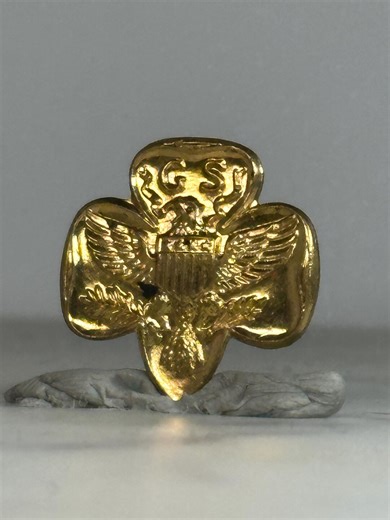 Girl Scouts USA Pin: Gold Tone Eagle Crest - Vintage Uniform Accessory - Etsy