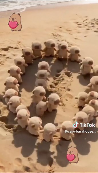 #capybara #love#you#peace | Capybara Videos