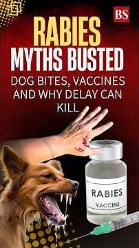 Rabies myths busted: Dog bites, vaccines and why delay can kill