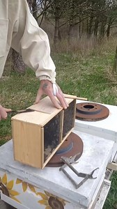 13 reactions | Installing a bee package We're working on a series of how-to videos, but for now here's a quick peek #beekeeping #beekeeper #honey #honeybees #hive #beehive #smallbusiness #pollination #garden #flowers #bugs #growyourownfood #alittledirtneverhurt | A Little Dirt | Facebook