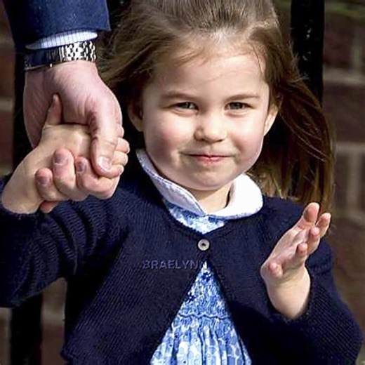 Exploring Princess Braelynn in Fan Fiction