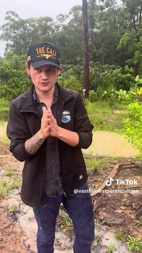 Exploring Swales in a Rainy Food Forest