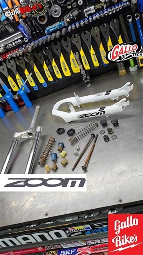 Reparación suspensión ZOOM FORGO Mantenimiento Horquilla Servicio tijera engrasado service fork MTB