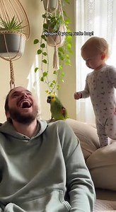 Tony: "Respect your dad, rude boy!" 🤣🔥 #funny #cockatoo #comedy | Bad liar