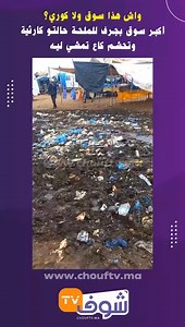 Chouf TV En Direct on Reels