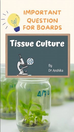 Tissue Culture Explained: Techniques, Benefits & Applications in Plant Science