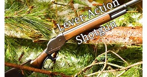 China's cowboy: The PW87 (VIDEO)