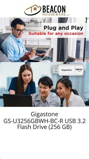 Gigastone GS-U3256GBWH-BC-R USB 3.2 Flash Drive (256 GB)