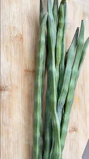 drumstick soup/healthy for bones moringa soup