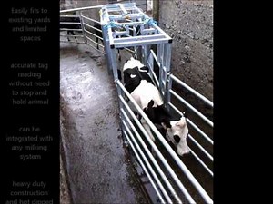 ODE Cattle Draft System