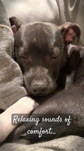 I’ll never get bored of listening to this sound!