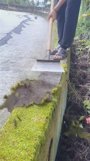 Engineering Life on Instagram: "🌿 Transform your gardening game with our **Multi-Purpose Garden Trowel**! ✨ Perfect for digging, planting, and weeding, this durable and lightweight tool is every gardener’s must-have. 🌍 **Fast worldwide shipping** available—your garden deserves it! 👉 Shop now! Link in @engineeriinglife bio 🛍️ #GardenTools #GardeningEssentials #GardenLovers #PlantCare #GardeningMadeEasy #WorldwideShipping #GardenTrowel"