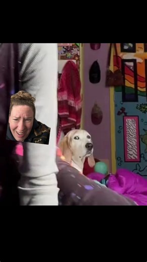 #greenscreen rainbow hair discourse #rainbowhair | rainbow hair