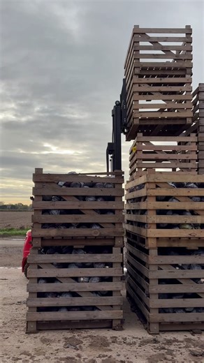 🚜 Manitou ME 425 out on demo in South Lincolnshire! ⚡️ The ME 425 electric forklift is built for versatility — from loading trucks to warehousing and daily logistics. With a 2,500kg lift capacity and 80V battery options, it boosts efficiency across your site. Interested in seeing what the ME 425 can do for your business? Get in touch to arrange a demo! 📱 01205 600900 | 📧 sales@bandbmachinery.co.uk #Manitou #ME425 #ElectricForklift #ForkliftDemo #BBMachinery | B&B Machinery