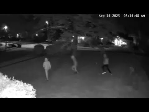 ‘We’re being terrorized’: DeKalb homeowners fed up with string of break-ins