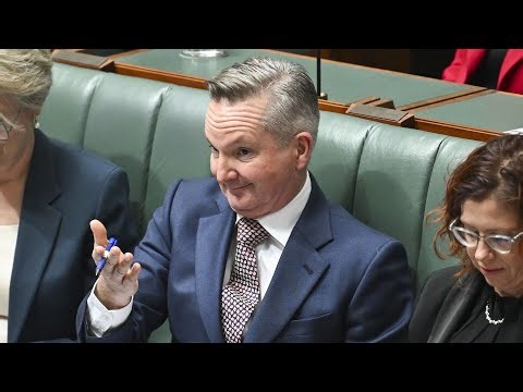 ‘They just want windmills’: Labor’s ‘passion’ for net zero leads to increased energy costs