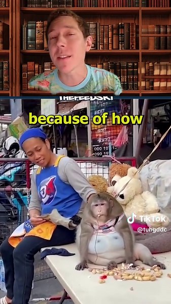 The Tragic Story of Godzilla the Obese Monkey