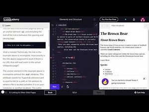 Learn HTML with Codecademy HTML Document Standards Part 2