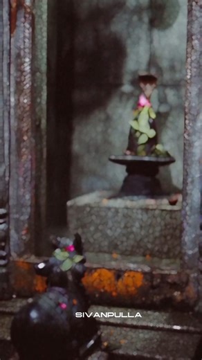 🙏 சிவன் புள்ள 📿 on Instagram: "Appa😭🫴🏻 #sivan #mahadev #shiva #god #om shivane shivan tamil bholenath lord potri mahakal siva bloom sivam india sivan siva tirunelveli sivan trxye sivananda shivan murugan siva godson like mahadev followreach shiva mahadev @sivan____pulla___"