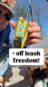 14K views · 456 reactions | You don't need a remote collar for off leash freedom BUT most do need it for off leash reliability. #offleash #remotecollar #dogtraining #offleashlife #ecollar | Tom Davis Dog Training | Facebook