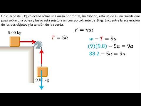 Physics | Applications of Newton's Laws | Example 6