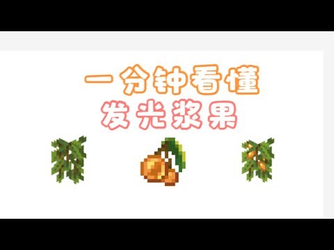 【Minecraft || 我的世界】一分半看懂发光浆果