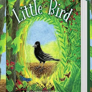 33K views · 518 reactions | Meet Little Bird, a tiny crow with a big imagination and an even bigger heart! A perfect read-aloud for kids 7+ | HarperKids Books | Facebook